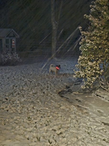 Spaß im Schnee